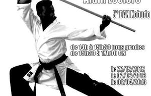 STAGE DE KOBUDO