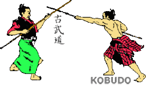 STAGE DE KOBUDO