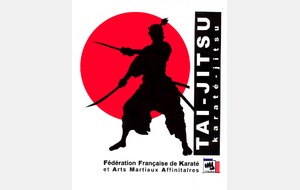 LE TAI JITSU FETE SES 20 ANS 