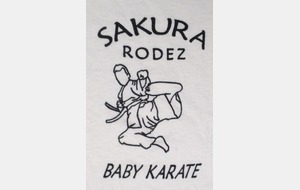 BABY KARATE