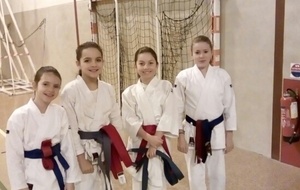 COUPE PPB ELITE KATA