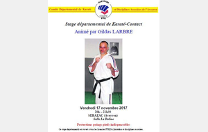 STAGE DEPARTEMENTAL KARATE CONTACT