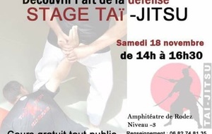 STAGE TAI JITSU