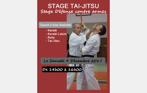 STAGE TAI JITSU
