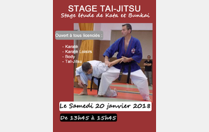 STAGE TAI JITSU OUVERT AUX LICENCIES