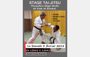 STAGE TAI JITSU