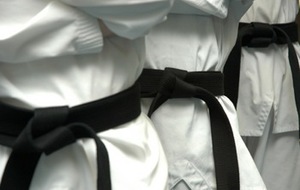 STAGE ET REMISE DES CEINTURES (ADULTES)