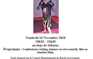 STAGE DEPARTEMENTAL KARATE MIX