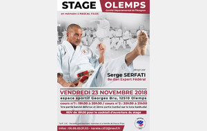 STAGE AVEC SERGE SERFATI