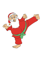 SOIREE DECOUVERTE AU KARATE !