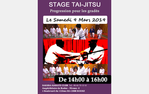STAGE TAI JITSU