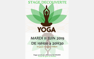 STAGE DECOUVERTE YOGA