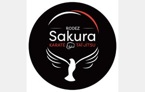 DEUXIEME STAGE DECOUVERTE KARATE