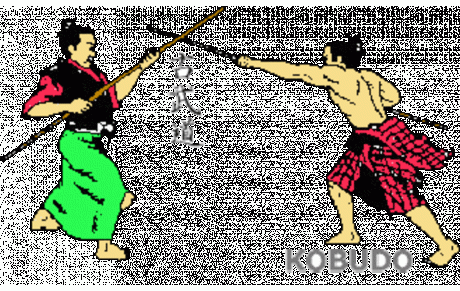 STAGE DE KOBUDO