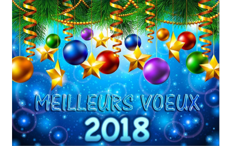 MEILLEURS VOEUX 2018