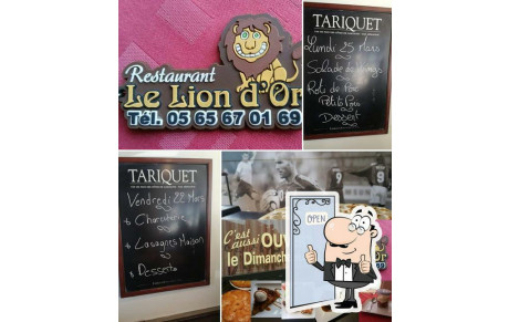 Restaurant le LION D'OR  RODEZ